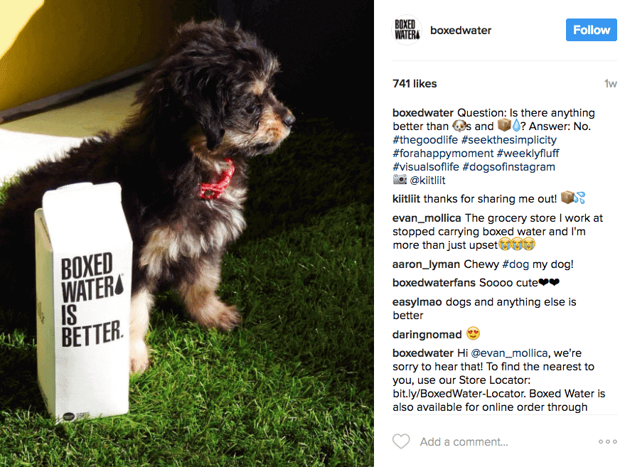 Screenshot of Boxed Water using social proof by reposting an Instagram photo from their follower