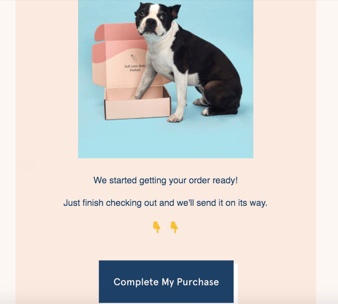 ecommerce transactional email example